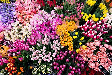 《微软飞行模拟》官方中文将于2022年第一季度添加